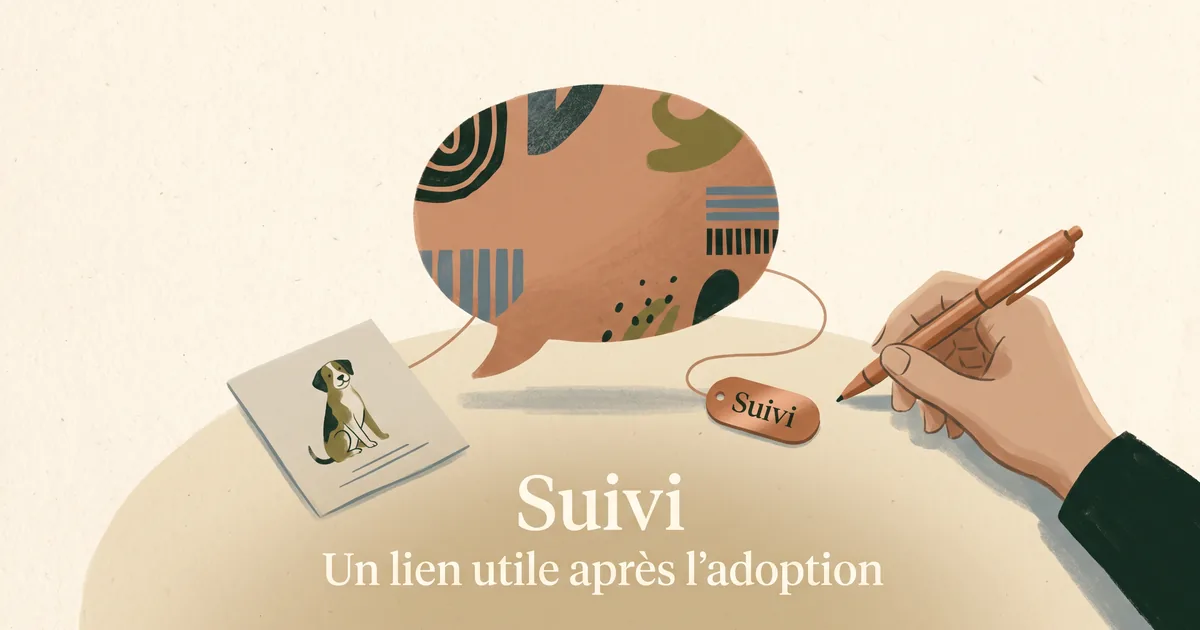 Modèle de message de suivi après adoption dans une bulle posée